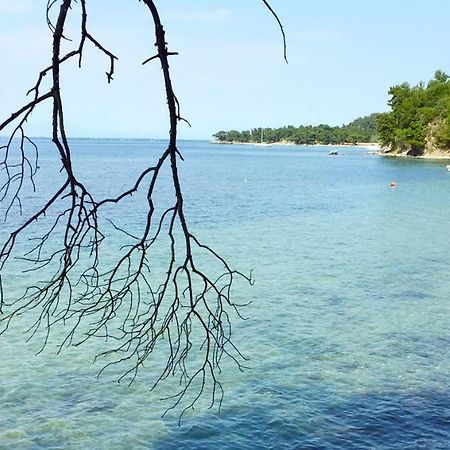 Villa Lily Szkála Rahoníu Kültér fotó